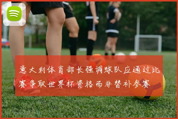 意大利体育部长强调球队应通过比赛争取世界杯资格而非替补参赛